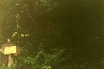 eika image